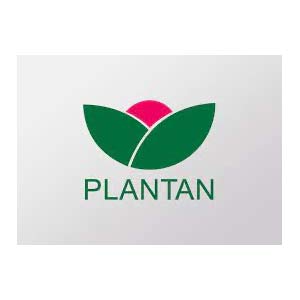 Plantan